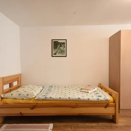 U Rehoutu 3* Horní Planá
